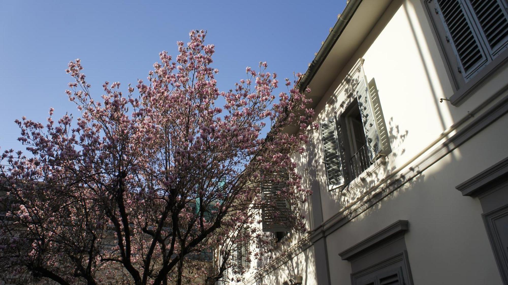 Otello Suite - Brand New Flat Santa Maria Novella Florencia Exterior foto